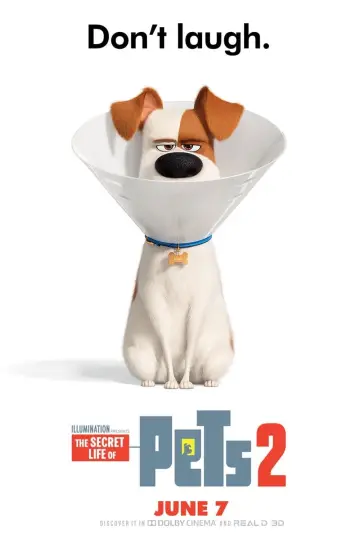 Plakat do filmu "Sekretne życie zwierzaków domowych 2" #32682