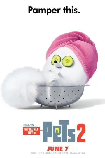 Plakat do filmu "Sekretne życie zwierzaków domowych 2" #32685