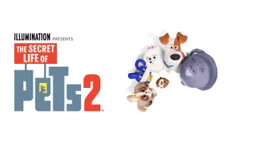 Zasłona do filmu "Sekretne życie zwierzaków domowych 2" #702051