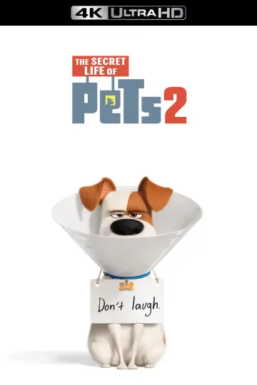 Plakat do filmu "Sekretne życie zwierzaków domowych 2" #702071