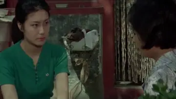 Zasłona do filmu "锅碗瓢盆交响曲" #1149995