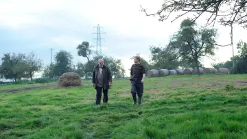 Zasłona do filmu "The Levelling" #500136