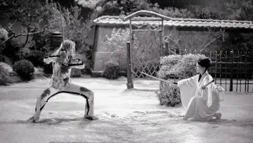 Zasłona do filmu "Kill Bill: The Whole Bloody Affair" #1193353