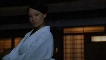 Zasłona do filmu "Kill Bill: The Whole Bloody Affair" #524548