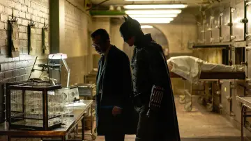 Zasłona do filmu "Batman" #165409