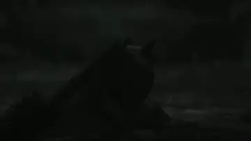 Zasłona do filmu "Batman" #747709