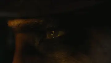 Zasłona do filmu "Batman" #747711