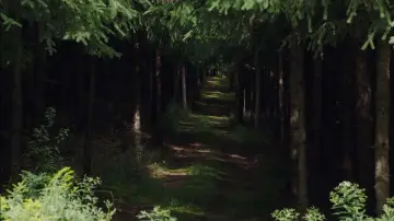 Zasłona do filmu "Wygłodniali" #1024602