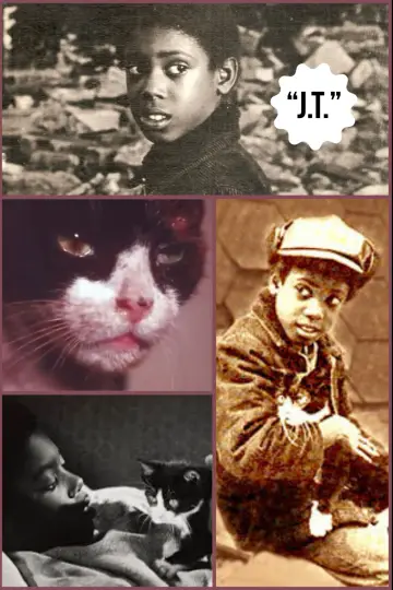 J.T.