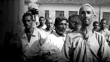 Zasłona do filmu "Holocausto Brasileiro" #1785698