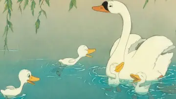 Zasłona do filmu "Brzydkie kaczątko" #433824