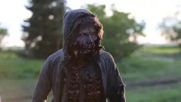 Zasłona do filmu "Plaga Wampirów 2" #397228
