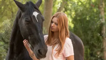 Zasłona do filmu "Wicher – dzikie konie" #423731