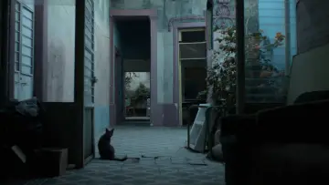 Zasłona do filmu "Los años azules" #1181528