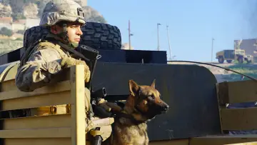 Zasłona do filmu "Megan Leavey" #227984