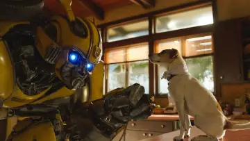 Zasłona do filmu "Bumblebee" #317696
