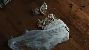 Zasłona do filmu "I Don
