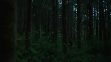 Zasłona do filmu "I Don