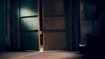 Zasłona do filmu "Masakra w Halloween" #1825735
