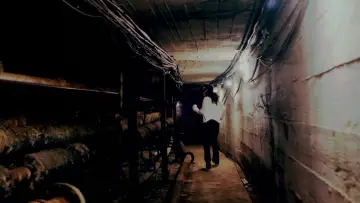 Zasłona do filmu "Masakra w Halloween" #1825766