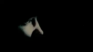 Zasłona do filmu "Masakra w Halloween" #1825827