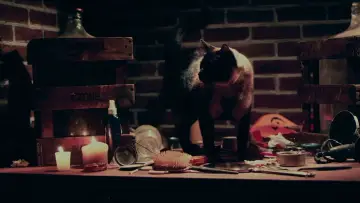 Zasłona do filmu "Masakra w Halloween" #1857688