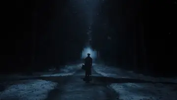 Zasłona do filmu "Nosferatu" #552838