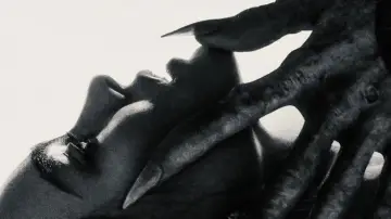 Zasłona do filmu "Nosferatu" #552850