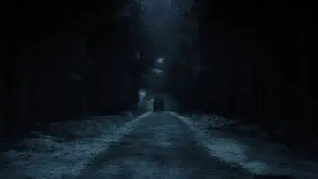 Zasłona do filmu "Nosferatu" #553013