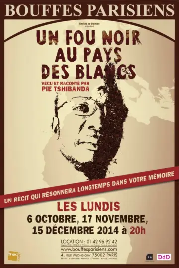 Plakat do filmu "Un fou noir au pays des blancs" #945013