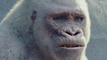Zasłona do filmu "Rampage: Dzika Furia" #1530241
