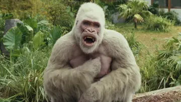 Zasłona do filmu "Rampage: Dzika Furia" #598872