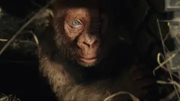 Zasłona do filmu "Rampage: Dzika Furia" #598878