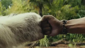 Zasłona do filmu "Rampage: Dzika Furia" #598880