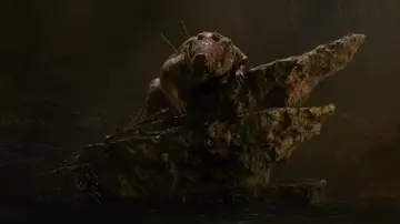 Zasłona do filmu "Piotruś Pan i Wendy" #1630585