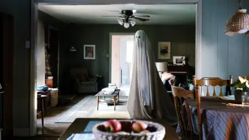 Zasłona do filmu "A Ghost Story" #239082