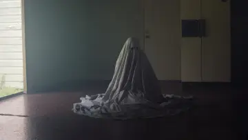 Zasłona do filmu "A Ghost Story" #946403