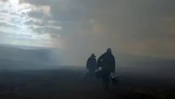 Zasłona do filmu "Piękny kraj" #187623