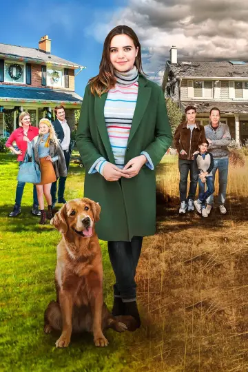 Plakat do filmu "Marzenie Joy" #497857