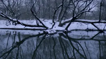 Zasłona do filmu "Niemiłość" #1747964