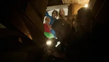 Zasłona do filmu "Suka" #461932