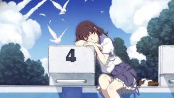 Zasłona do filmu "打ち上げ花火、下から見るか？横から見るか？" #277865