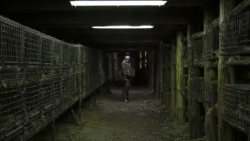 Zasłona do filmu "Pokot" #491798