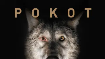 Zasłona do filmu "Pokot" #744801