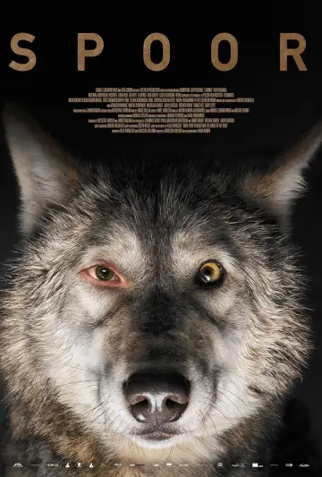 Plakat do filmu "Pokot" #744810