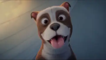 Zasłona do filmu "Sgt. Stubby: An American Hero" #351808