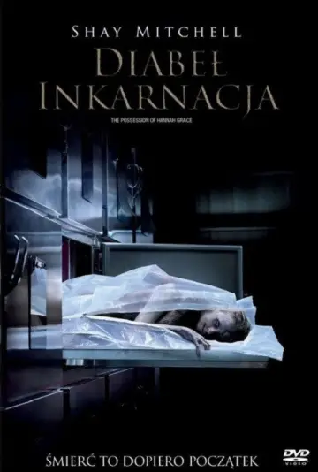 Plakat do filmu "Diabeł: Inkarnacja" #812899