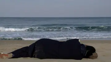 Zasłona do filmu "Samotnie na plaży pod wieczór" #1038809