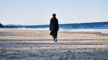 Zasłona do filmu "Samotnie na plaży pod wieczór" #400059