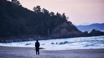 Zasłona do filmu "Samotnie na plaży pod wieczór" #400061
